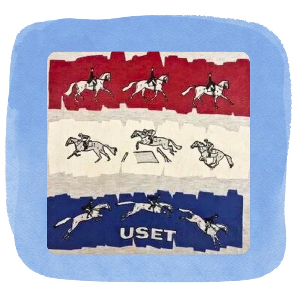 Vintage United States Equestrian Team 3-day Eventing Horse t-shirt. Size L - Picture 2 of 2